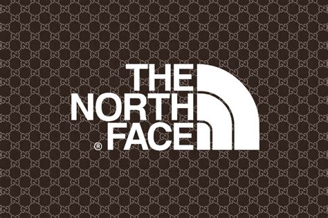 noth face per gucci|gucci north face logo.